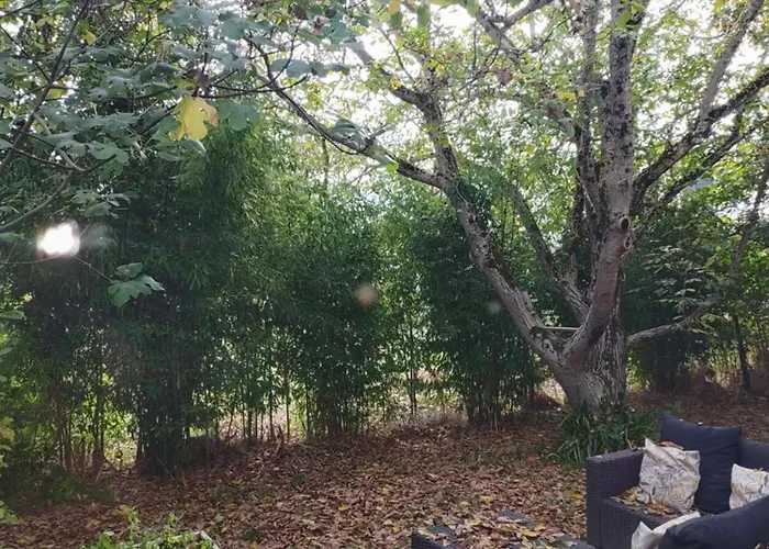 Сasa de vacaciones L'atelier, Dépendance à La Campagne *